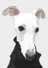 pet whippet Birthday Card 16835 created by Higgledy Pets