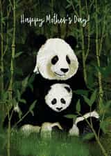 panda giant Card 28380 created by Katherine Blower