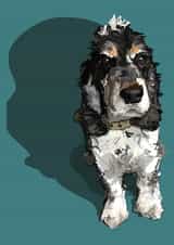 spaniel dog Birthday Card 16840 created by Higgledy Pets