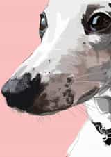 grey hound whippet Birthday Card 16841 created by Higgledy Pets
