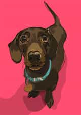 dachshund pet Birthday Card 16842 created by Higgledy Pets