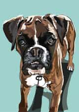 boxer dog Birthday Card 16843 created by Higgledy Pets