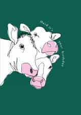 Herd it's your birthday created by Mor Creative