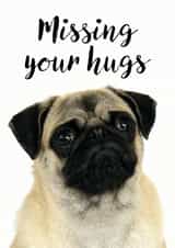 pug hugs Just because Card 9901 created by Jon Hall Design