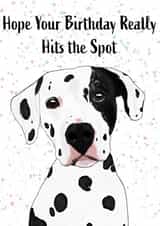 illustration dalmatian Birthday Card 17174 created by Honey and Blondie Illustrations