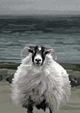 Thank you friendship Card 25889 created by Periodic Society