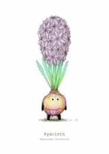 Hyacinth bulb for all occasions created by Lee Hunt