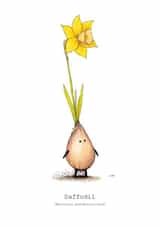 Daffodil perfect for all occasions created by Lee Hunt