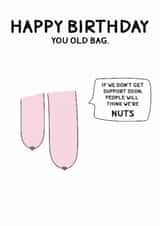 Funny Birthday Card – "Happy Birthday, You Old Bag" with Saggy Boobs Tits Design created by Stevie Doodles