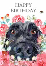 Happy Birthday from the dog created by Jo Scott Art