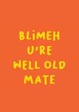 blimeh well Birthday Card 17511 created by Georgia Williams