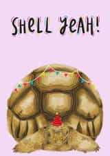 tortoise celebration Card 17564 created by Alba Landra