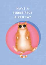 purr purfect Birthday Card 17648 created by Studio Mads