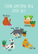 sendasmile learn Just because Card 17558 created by Luna & Sol Co Design