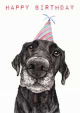 Happy birthday labrador retriever dog card created by Bramble Designs