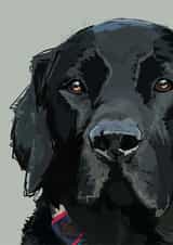 Card 41376 created by Higgledy Pets