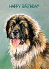 Illustration Dog Birthday Card 12549 created by Richard Marsh Art