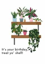 Birthday Card for Plant Lovers - Treat Yo' Shelf created by Number 27 Design