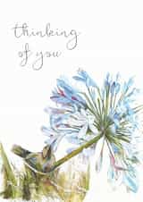 bird flower Thinking of you Card 18487 created by Michelle Offerman