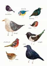 birds watching Just because Card 18674 created by Hidden Tales