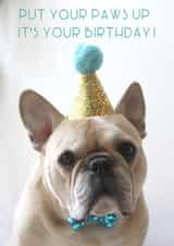 frenchie bulldog Birthday Card 14096 created by Sofia Wåhlin