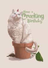 cat pot Birthday Card 15617 created by Fasanian Artistry
