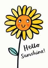 sunflower hello Just because Card 18300 created by Jenny Seddon