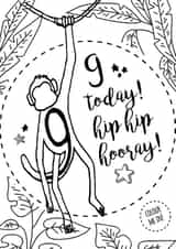 9 monkey Birthday Card 2427 created by Pippa Race