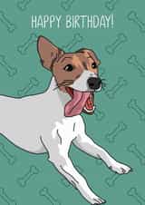 dog jack russell Birthday Card 11764 created by Evie Garnett Designs