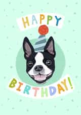 dog boston terrier Birthday Card 19013 created by Penelope Nutmeg