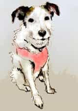 adult animal Birthday Card 19022 created by #drawingtokeepfromtheboring