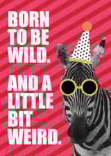born to be wild zebra Birthday Card 18352 created by Lamb & Bear Creative