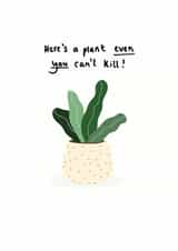 here's a plant even you can't kill pot plant New Home Card 18382 created by Fruit Fly Press