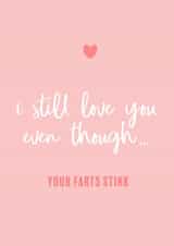 Funny Farts Anniversary Card / Valentines Day Card - I Still Love You Even Though Your Farts Stink created by Splodge Designs