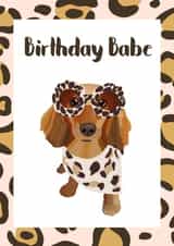 Dachshund sausage dog Birthday Card 18085 created by Sarah Stephenson