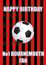 no.1 bournemouth Birthday Card 19141 created by Butlin Designs