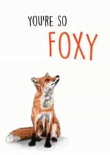 you're so foxy funny Anniversary Card 42656 created by SVHIllustration