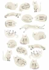 cats pet Birthday Card 17573 created by hnaillustration