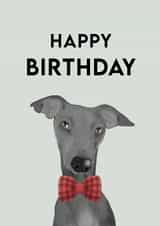 greyhound dog Birthday Card 18788 created by Treacle Bum