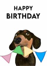 dachshund sausage dog Birthday Card 18789 created by Treacle Bum
