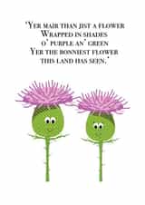 Scottish Thistle Anniversary Card 44258 created by Entirely Your Own