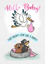 puppy look New Baby Card 19428 created by Laura Deakin