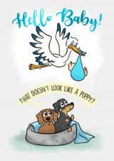 new baby New Baby Card 19429 created by Laura Deakin