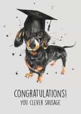 sausage dog watercolour Graduation Card 13895 created by Splatterworks