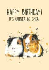 watercolour guinea pig Birthday Card 13896 created by Splatterworks