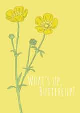 Buttercup what's up Just because Card 19594 created by Anna Norburn