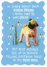 Pet bereveament card created by Hot Dog greetings