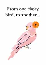 Card 33581 created by Warwick Studios