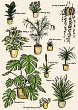 Cute New Home Card - House Plants created by Creative Dragon01