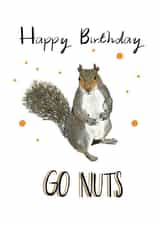 go nuts Birthday Card 18718 created by Emily Hunter